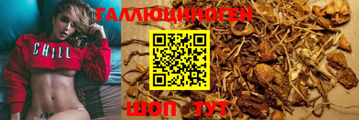 Галлюциногенные грибы прущие грибы  Псилоцибиновые грибы мухоморы  Мичуринск  Вход с VPN 